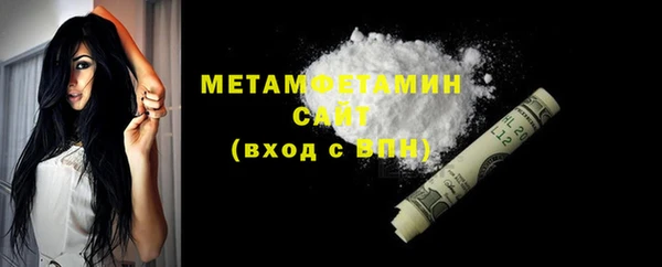 прущие грибы Верея